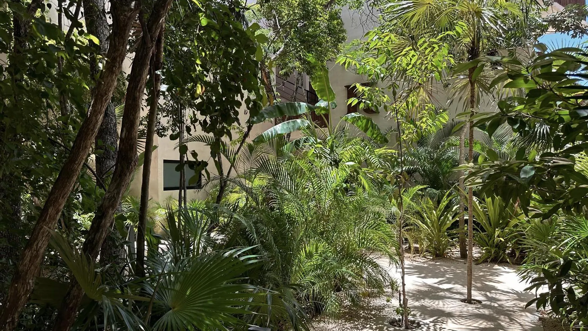 Aparthotel Ophelia Tulum Condo In Aldea Zama Mexico